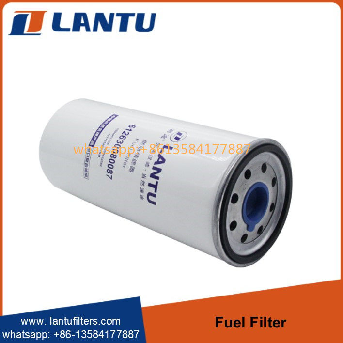 Lantu Diesel Fuel Filter 612630080087 1000053555 1000422382  1117050B81DM FC71090  R010018  Manufacturer